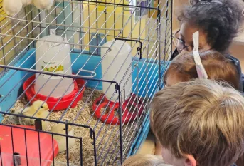 ©Apprentis d'Auteuil