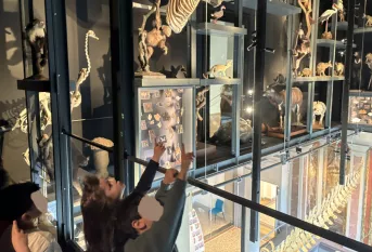 La grande galerie du musée zoologique