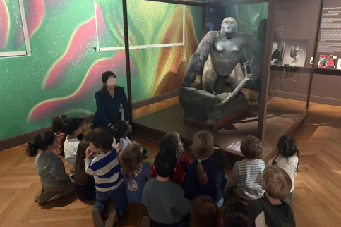 les élèves devant le gorille