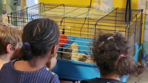 ©Apprentis d'Auteuil