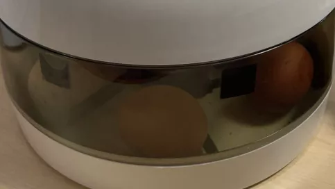 ©Apprentis d'Auteuil