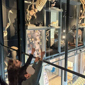 La grande galerie du musée zoologique