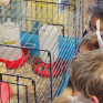 ©Apprentis d'Auteuil