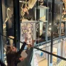 La grande galerie du musée zoologique