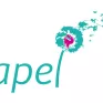 L'Apel